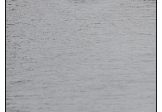 20251011-Grachtenrace-JP-647